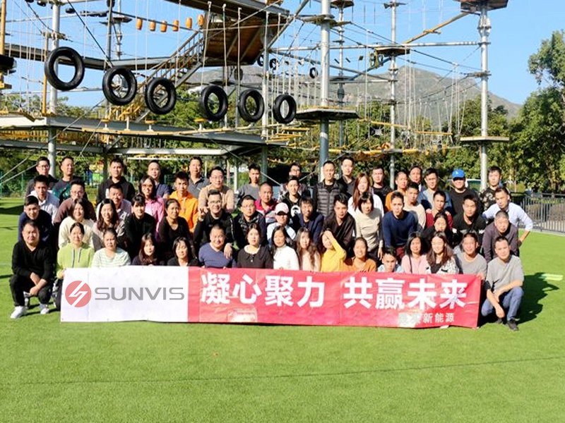 actividad de la empresa sunvis